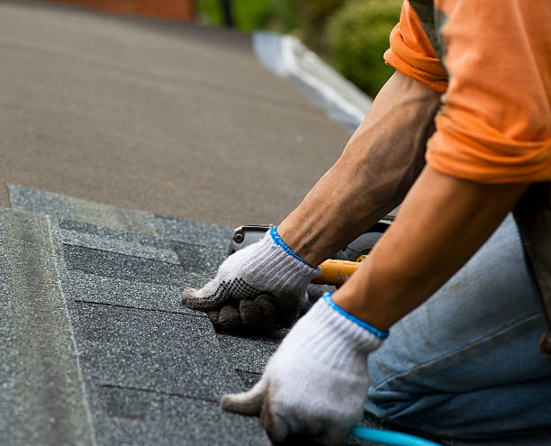 Best Roof Waterproofing Services  in Black Earth, WI