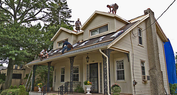 Best Roof Repair Services  in Black Earth, WI